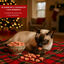 50 g Wonder Christmas Petiscos de Natal para gatos, , large Indicador imagem número 4