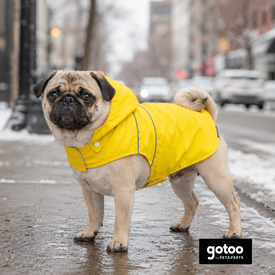 Gotoo Capa de Chuva Refletora Amarela para c&atilde;es