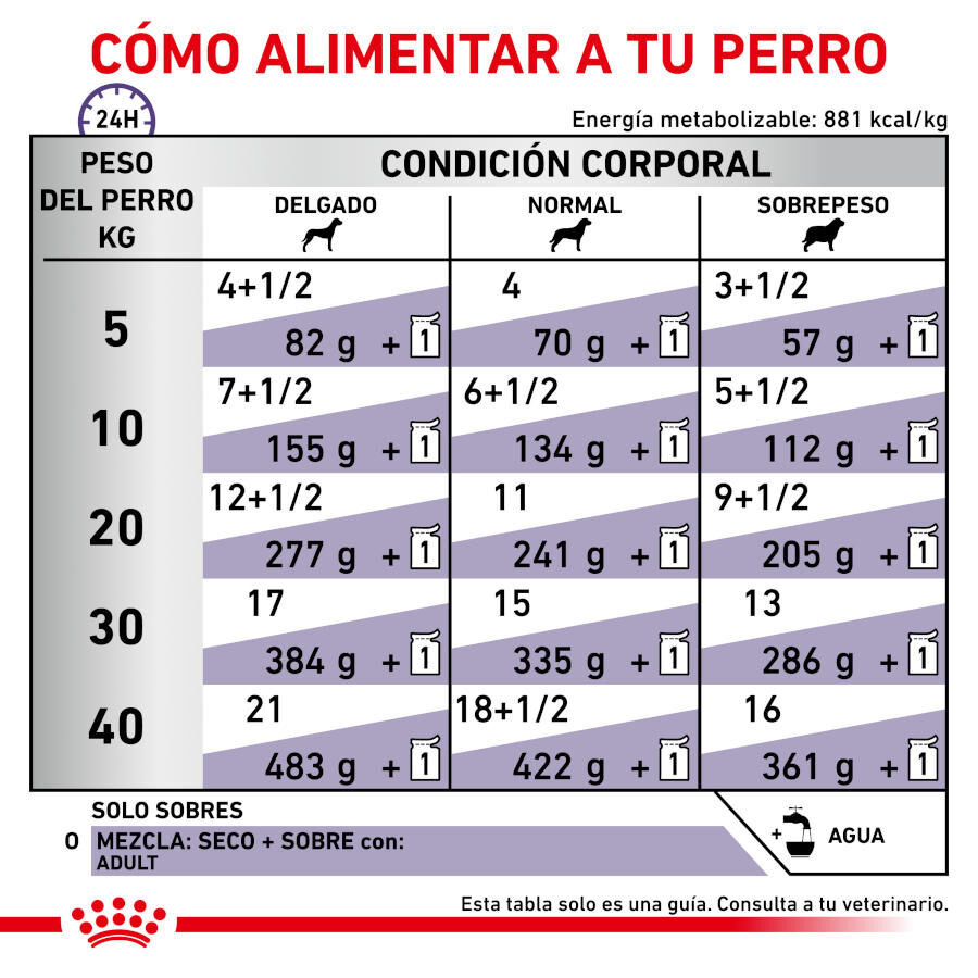12 saquetas x 85 g Royal Canin Expert Adult L&aacute;minas em molho sobre para c&atilde;es, , large Imagem n&uacute;mero 4