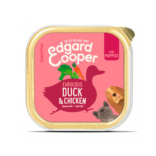 Edgard & Cooper Puppy pato e frango lata para cães