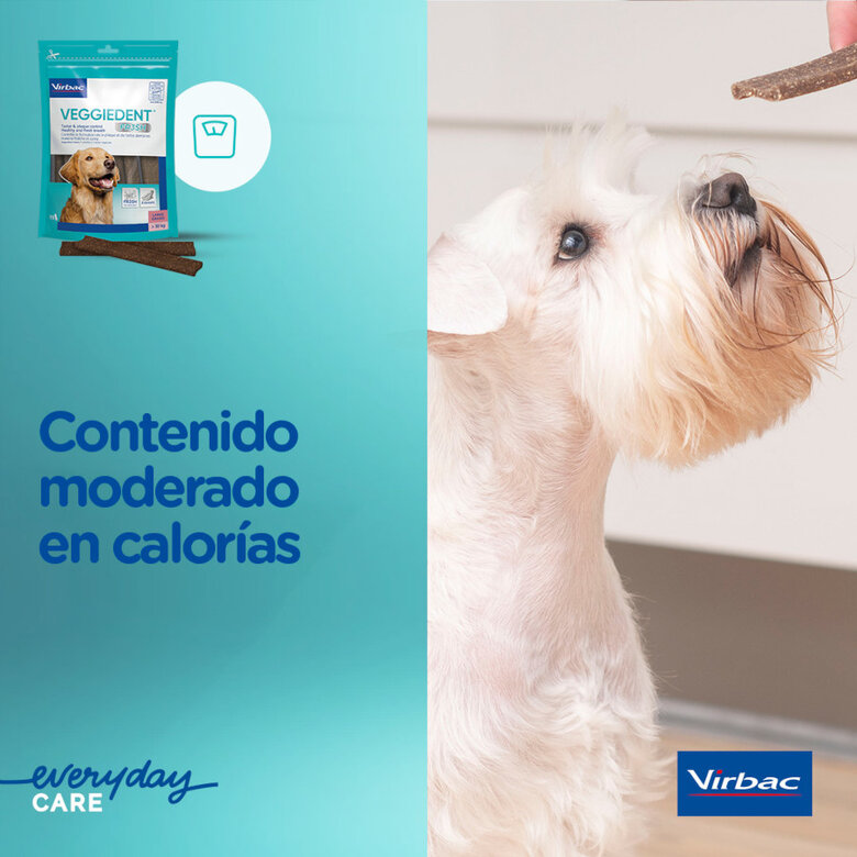 15 sticks Virbac Snacks Dentários Veggiedent Fresh para cães de raça grande,  Imagem número 8 15 sticks Virbac Snacks Dentários Veggiedent Fresh para cães de raça grande, , large Imagem número 8