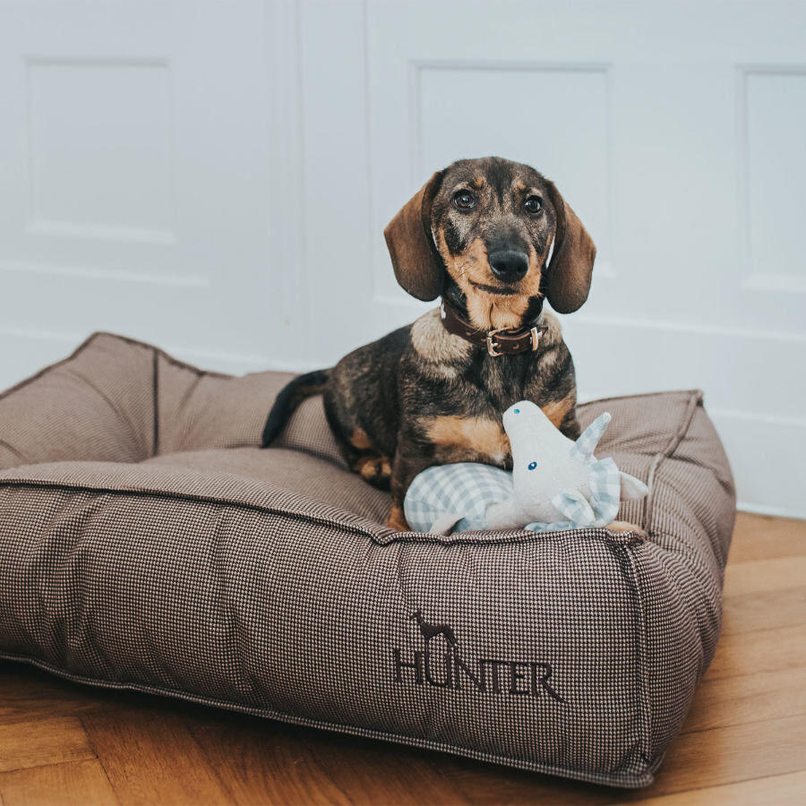 Hunter Lancaster Cama Castanha para c&atilde;es, , large Imagem n&uacute;mero 2