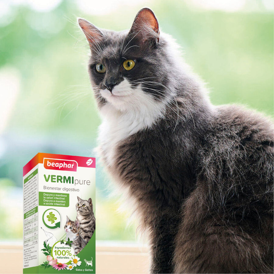 Beaphar VERMIpure Repelente Interno Natural em comprimidos para gatos e gatinhos, , large Imagem n&uacute;mero 7
