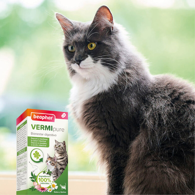 Beaphar VERMIpure Repelente Interno Natural em comprimidos para gatos e gatinhos,  Imagem número 7 Beaphar VERMIpure Repelente Interno Natural em comprimidos para gatos e gatinhos, , large Imagem número 7