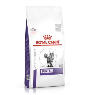 Royal Canin Veterinary Dental ração para gatos