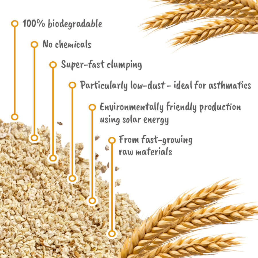 Golden Grey Areia de gato de aglutina&ccedil;&atilde;o de trigo, , large Imagem n&uacute;mero 7