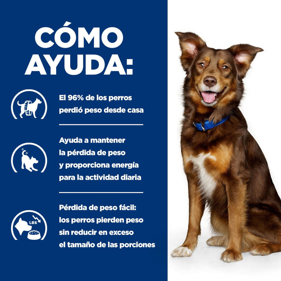 370 g Hill's Prescription Diet Metabolic Lata de carne e vegetais para c&atilde;es, , large Imagem n&uacute;mero 4