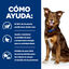 370 g Hill's Prescription Diet Metabolic Lata de carne e vegetais para c&atilde;es, , large Indicador imagem n&uacute;mero 4