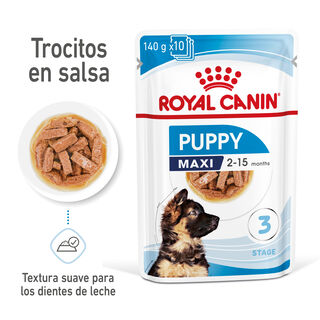 Royal Canin Alimento Húmido Maxi Puppy Saquetas