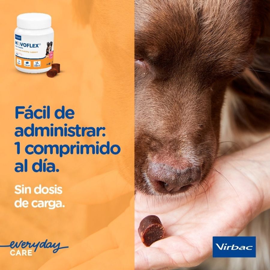 Virbac Movoflex Condroprotetor para c&atilde;es de porte m&eacute;dio, , large Imagem n&uacute;mero 8