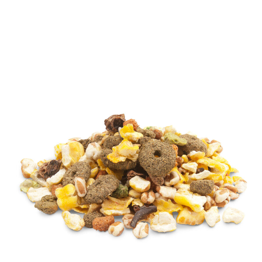 Versele-Laga NutriBird G14 Alimento para p&aacute;ssaros, , large Imagem n&uacute;mero 2