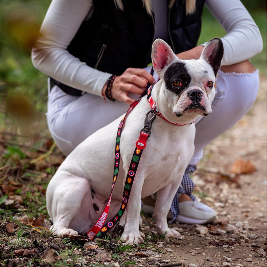 Disney Premium Marvel trela para c&atilde;es, , large Imagem n&uacute;mero 4