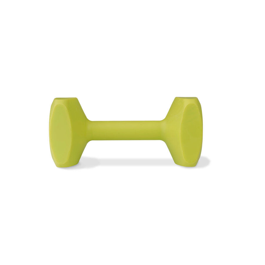 Coachi Halter de brinquedo lim&atilde;o m&eacute;dio para c&atilde;es, , large Imagem n&uacute;mero 1