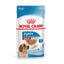 140 g Royal Canin Medium Puppy saquetas para cães, , large Indicador imagem número 1