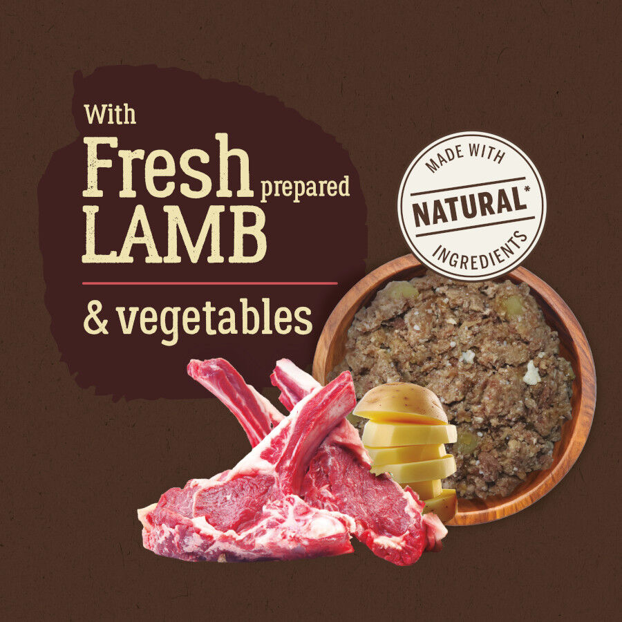 400 g True Origins Pure Adulto Cordeiro lata para C&atilde;es, , large Imagem n&uacute;mero 3