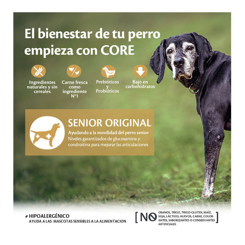 Wellness Core Senior Frango e Peru ração para cães , , large image number null