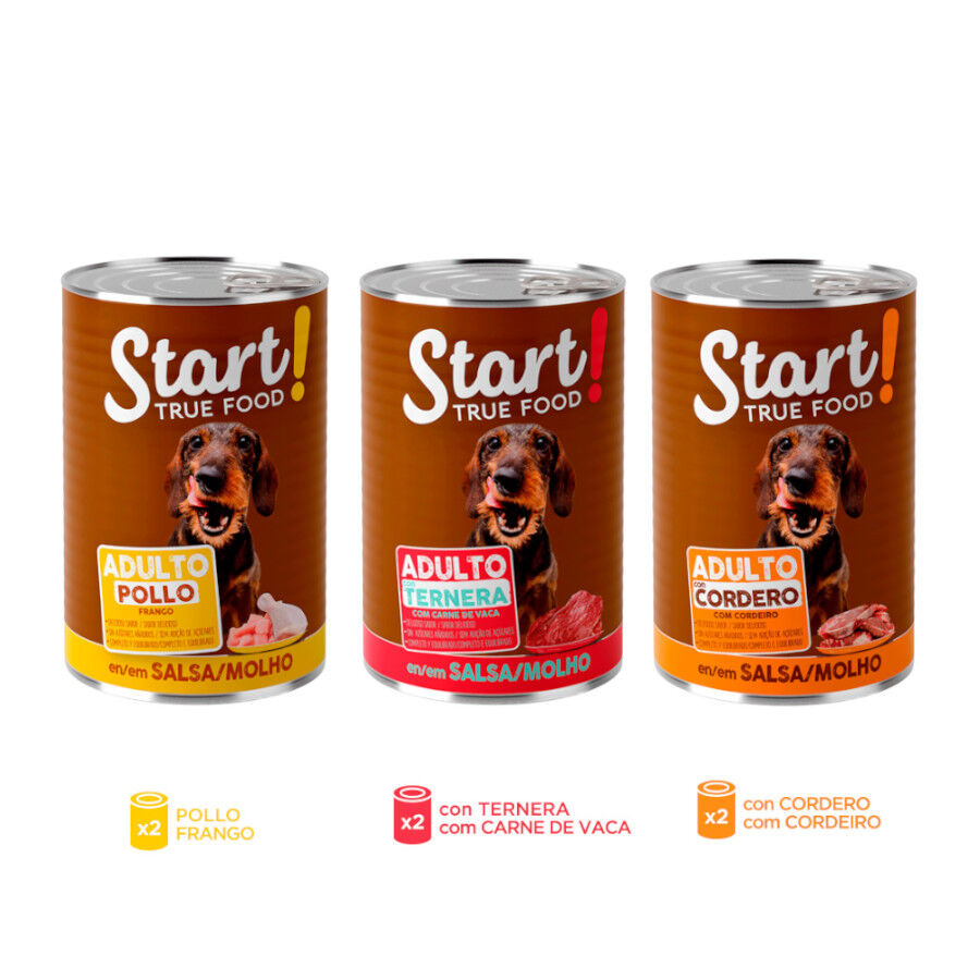 12 latas x 400 g Start Multipack Alimento h&uacute;mido de frango, vitela e cordeiro em molho para c&atilde;es Pack Poupan&ccedil;a!, , large Imagem n&uacute;mero 3