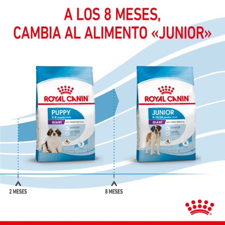 Royal Canin Puppy Giant ração para cães, , large image number null