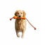 All For Paws Wow Play Brinquedo Stick flutuante para c&atilde;es, , large Indicador imagem n&uacute;mero 3