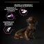 3 kg Pro Plan Adult Small & Mini OptiAge Frango ração para cães, , large Indicador imagem número 4