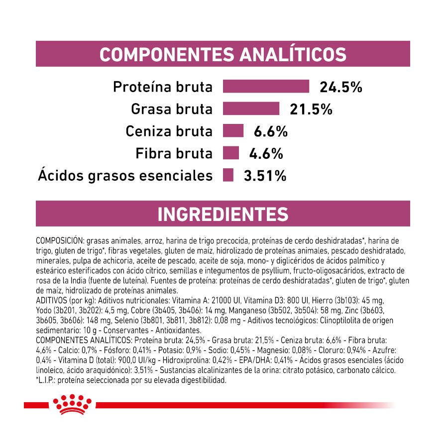 4 kg Royal Canin Veterinary Renal Select ra&ccedil;&atilde;o para gatos , , large Imagem n&uacute;mero 5