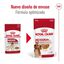 140 g Royal Canin Medium Adult saquetas em molho para cães, , large Indicador imagem número 2