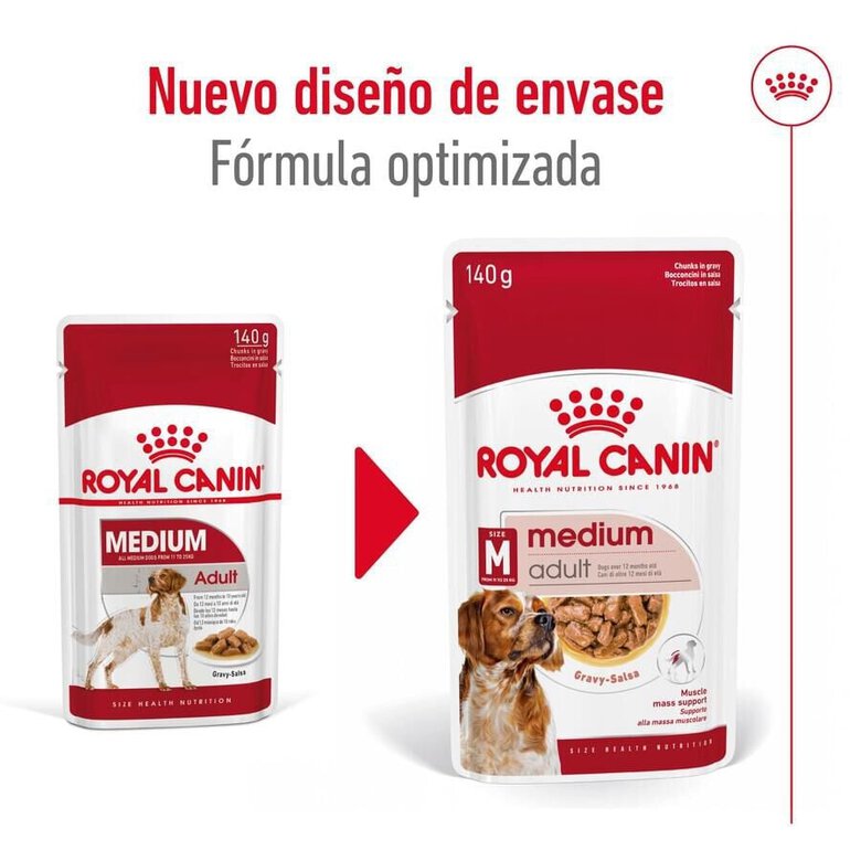 140 g Royal Canin Medium Adult saquetas em molho para cães,  Imagem número 2 140 g Royal Canin Medium Adult saquetas em molho para cães, , large Imagem número 2