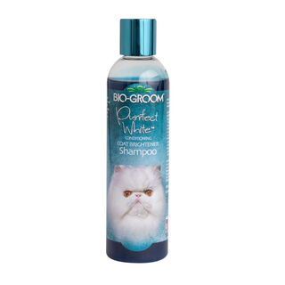 Bio-Groom Champô Branqueador para gatos 