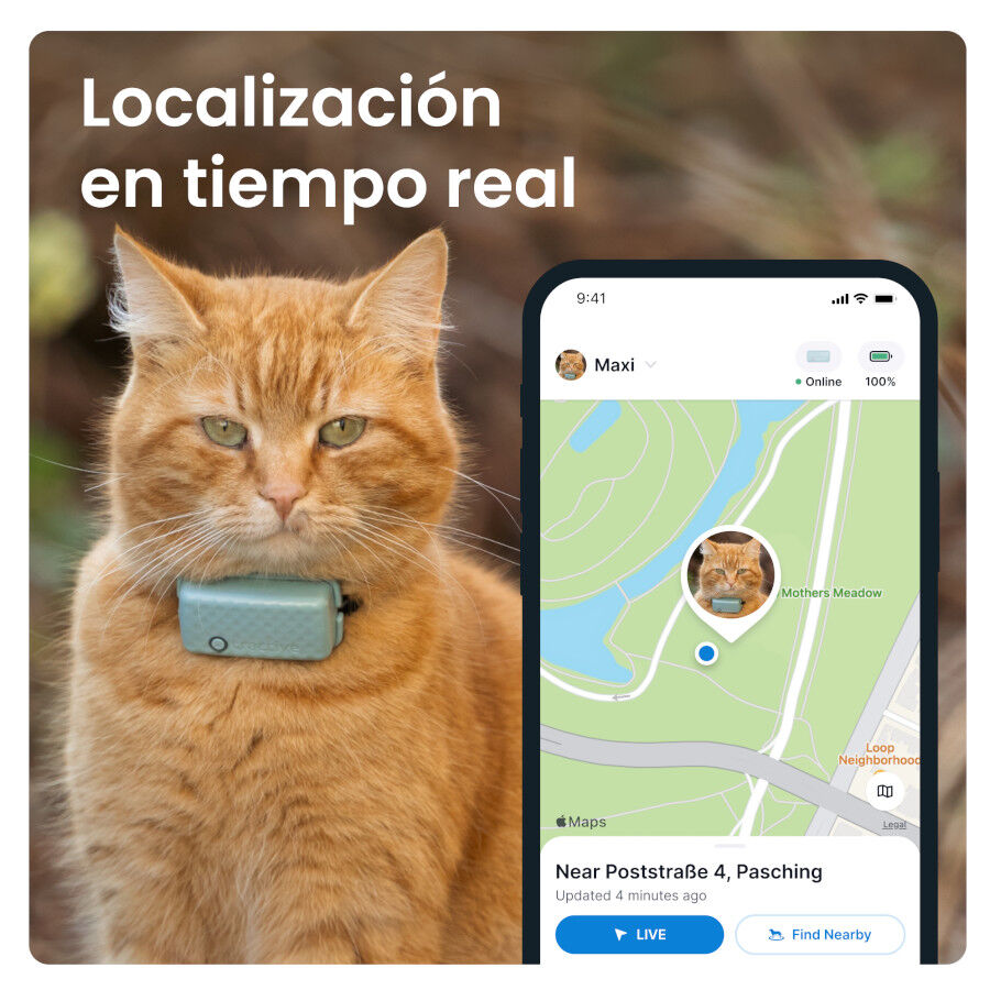 Tractive Cat Mini GPS Tracker Mint para gatos, , large Imagem n&uacute;mero 6