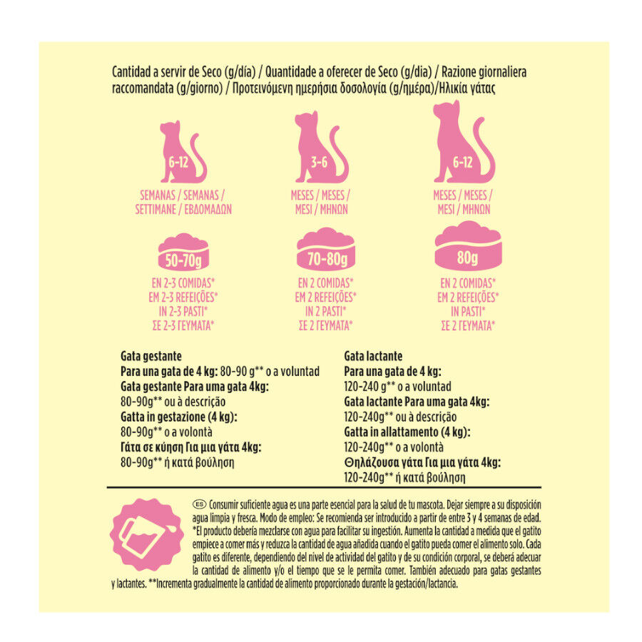 1.5 kg Friskies Junior Ra&ccedil;&atilde;o para gatos , , large Imagem n&uacute;mero 5