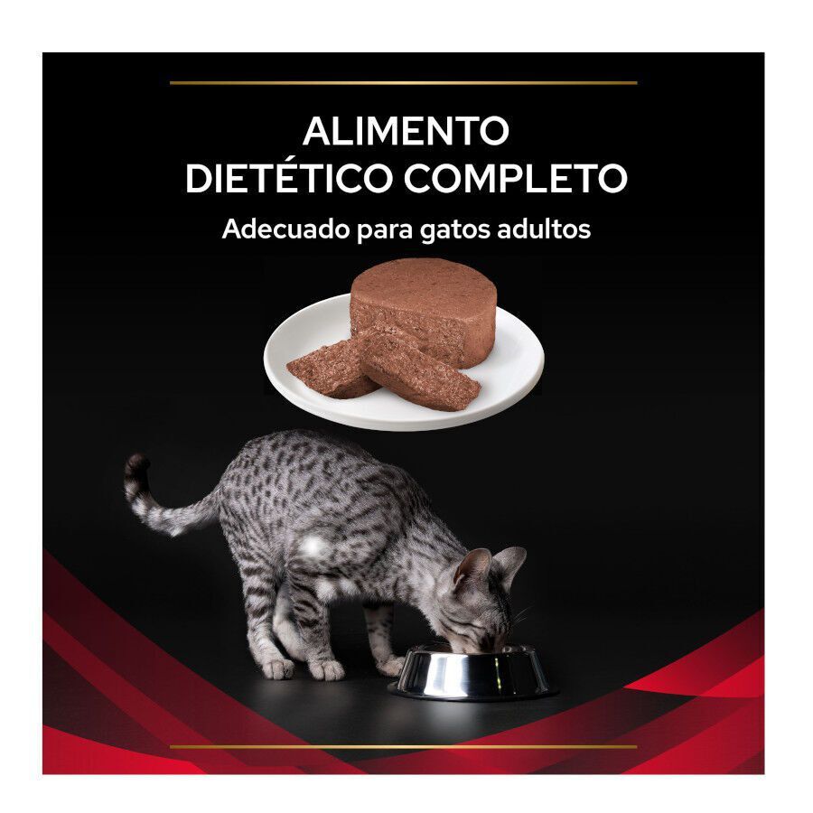 195 g Pro Plan Veterinary Diets Diabetes lata para gatos, , large Imagem n&uacute;mero 3