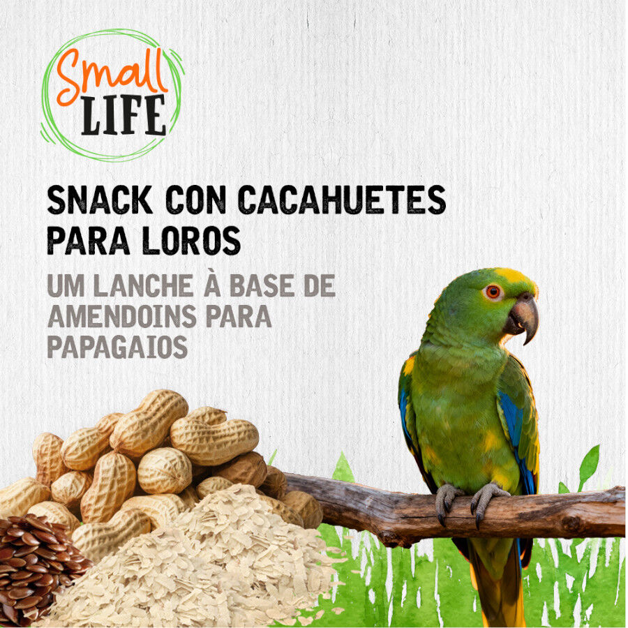 2 barritas Small Life Barritas Snack com Amendoins para papagaios, , large Imagem n&uacute;mero 4