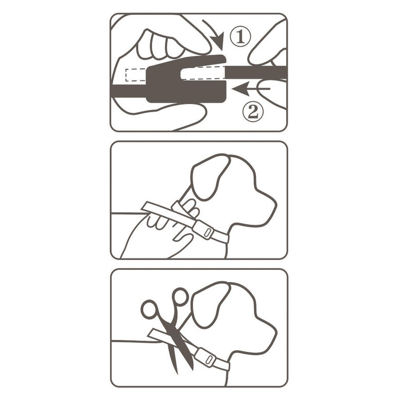 Beaphar Canishield coleira antiparasitária para cães – 65 cm, , large image number null