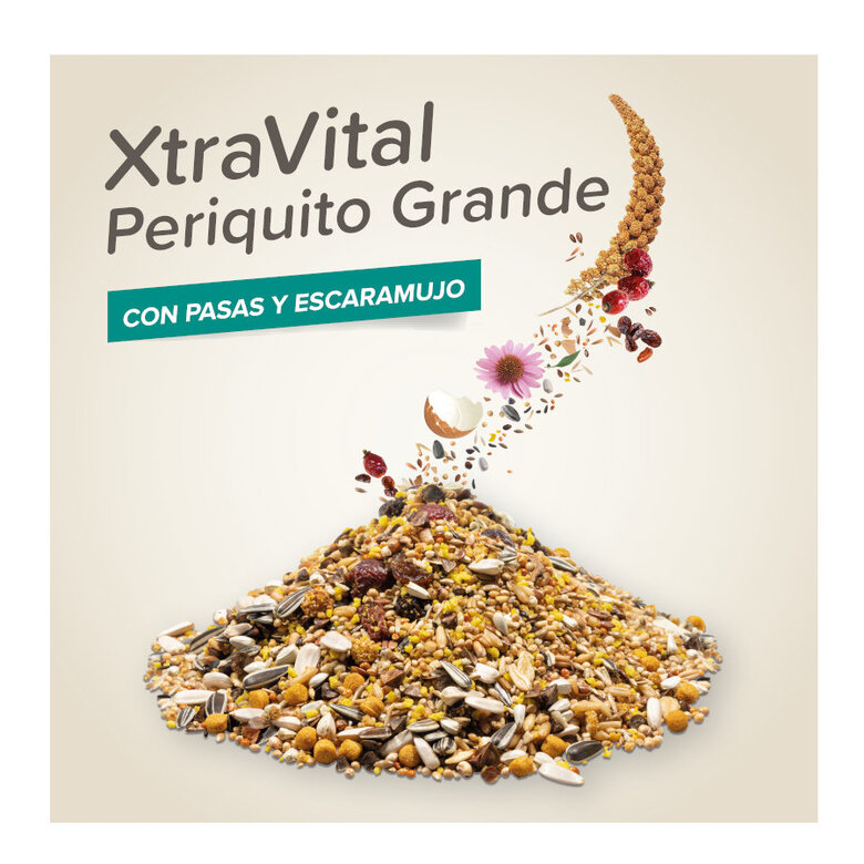 Beaphar XtraVital Mistura para cacatuas,  Imagem número 2 Beaphar XtraVital Mistura para cacatuas, , large Imagem número 2