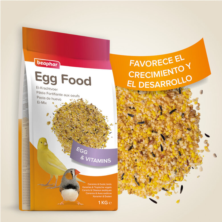 Beaphar Ei-Krachtvoer Pasta de Ovo para canários,  Imagem número 4 Beaphar Ei-Krachtvoer Pasta de Ovo para canários, , large Imagem número 4