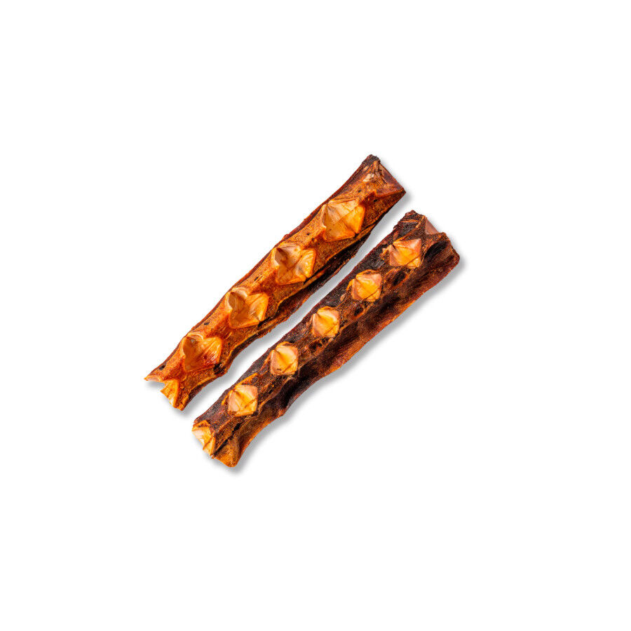 2 uds. True Origins Hueso de At&uacute;n Grande Snack para perros, , large Imagem n&uacute;mero 3