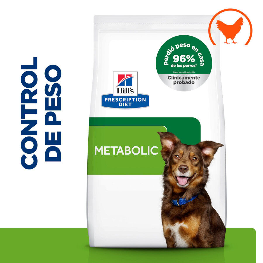 12 kg Hill's Prescription Diet Metabolic ra&ccedil;&atilde;o para c&atilde;es, , large Imagem n&uacute;mero 2