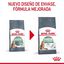 2 x 10 kg Royal Canin Adult Digestive ração para gatos Pack poupança!, , large Indicador imagem número 8