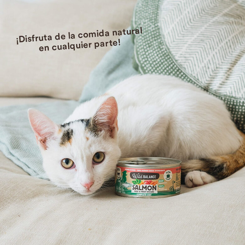 Wild Balance BARF de Salmão e Vitela em lata para gatos , , large image number null