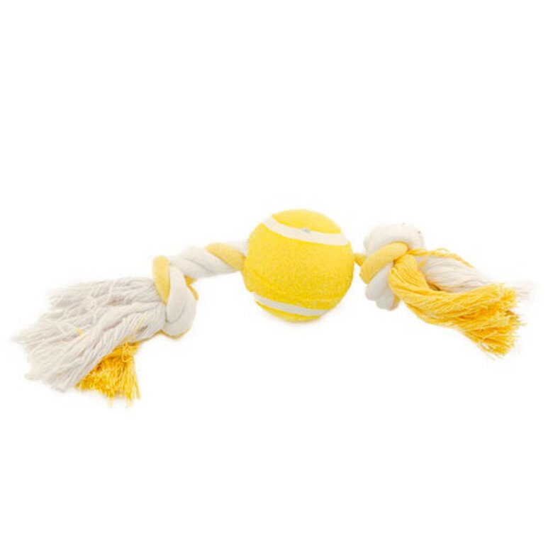 TK Pet Tenis Bone pelota de perro Imagem número 1 TK Pet Tenis Bone pelota de perro Imagem número 1