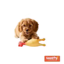 Tootoy! Chew Brinquedo galinha de quinta para c&atilde;es