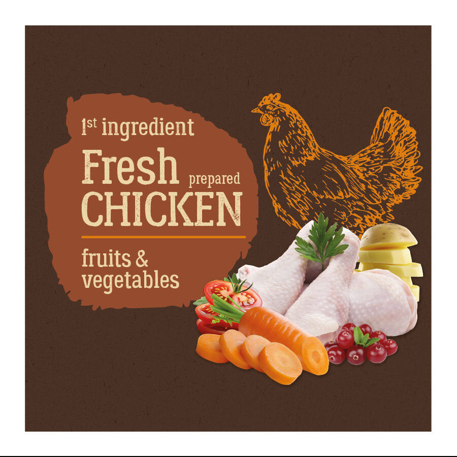 12 kg True Origins Adult Pure Frango No Grain ra&ccedil;&atilde;o para c&atilde;es, , large Imagem n&uacute;mero 3