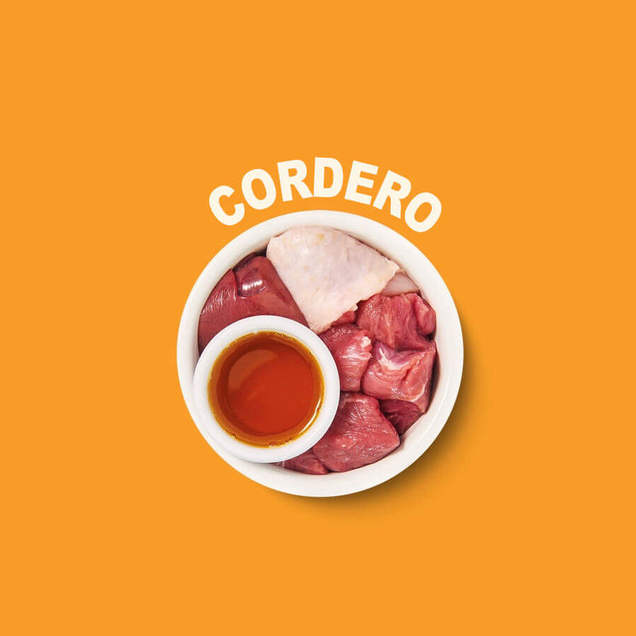 8 terrinas x 85 g Lily's Kitchen Feline Smooth Selection pat&ecirc; terrinas - Multipack, , large Imagem n&uacute;mero 5