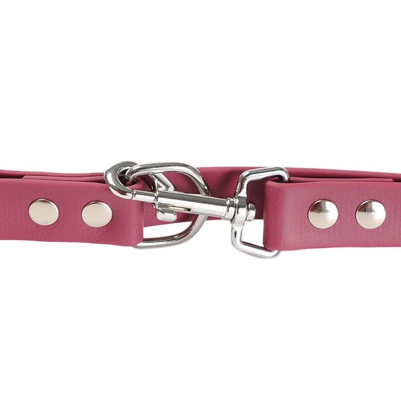 Gotoo Trela Biothane Vermelha Vinho para Cães,  Imagem número 7 Gotoo Trela Biothane Vermelha Vinho para Cães, , large Imagem número 7