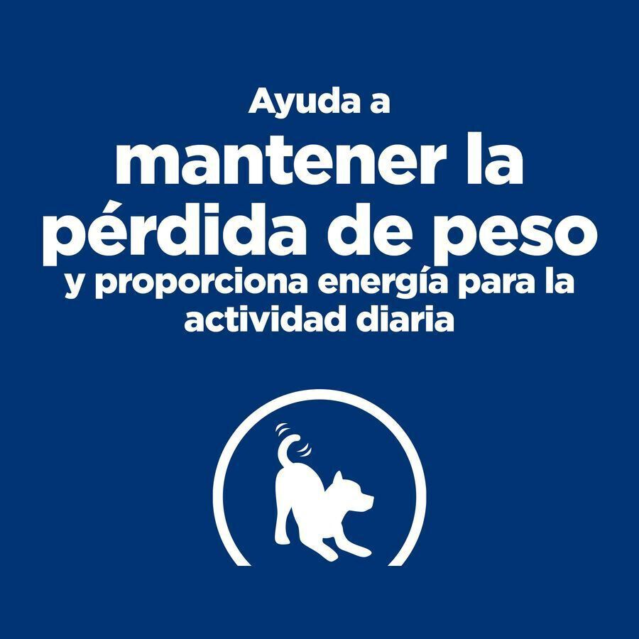 2 x 6 kg Hill's Prescription Diet j/d Metabolic + Mobility mini Adult ra&ccedil;&atilde;o para c&atilde;es Pack poupan&ccedil;a!, , large Imagem n&uacute;mero 5
