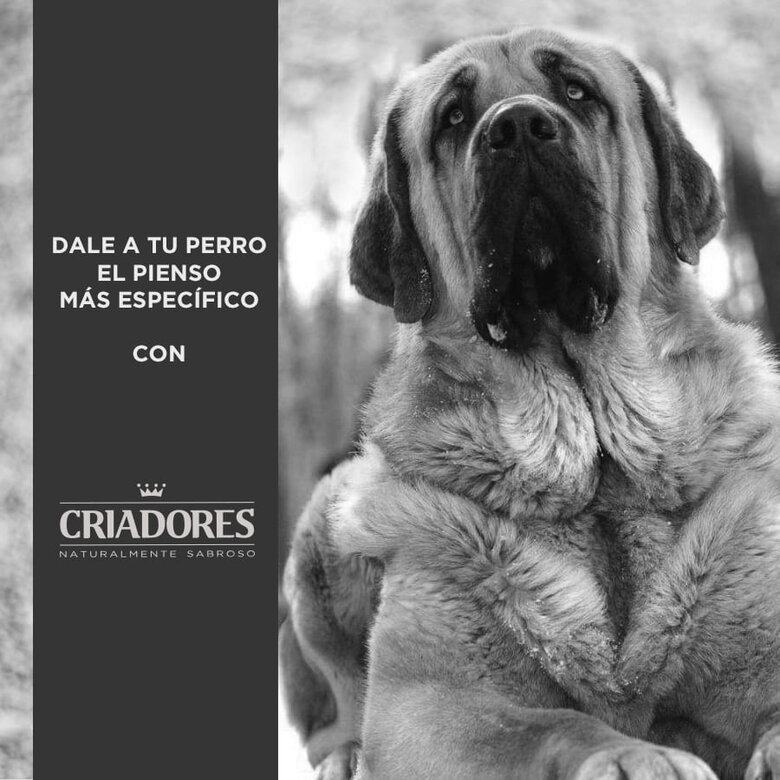 15 kg Criadores Adulto Light Frango ração para cães de porte médio e grande,  Imagem número 5 15 kg Criadores Adulto Light Frango ração para cães de porte médio e grande, , large Imagem número 5