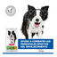 Hill's Medium Adult Science Plan Youthful Vitality Frango ra&ccedil;&atilde;o para c&atilde;es, , large Indicador imagem n&uacute;mero 6