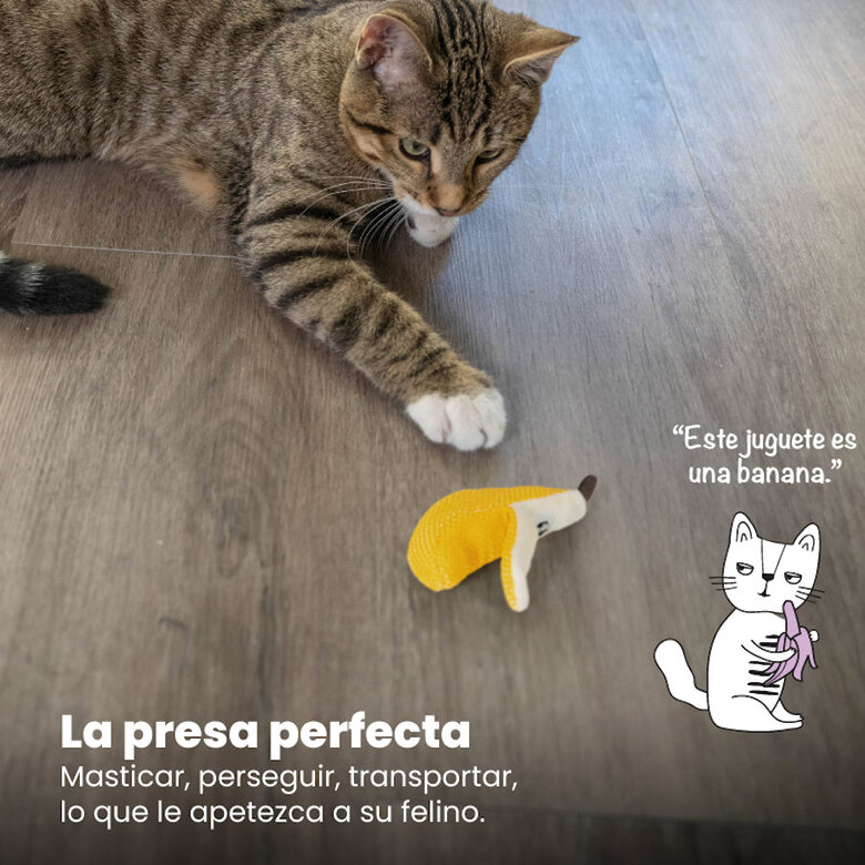 Catstages Dental Peluche Banana para gatos,  Imagem número 6 Catstages Dental Peluche Banana para gatos, , large Imagem número 6
