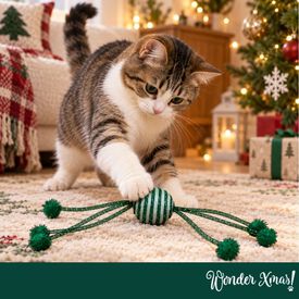 Wonder Christmas Bola Brilhante com Corda Brinquedo para gatos