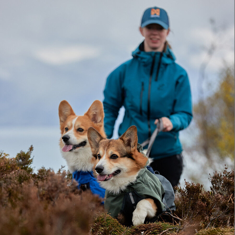 Non-stop dogwear Fjord Capa de chuva imperme&aacute;vel preta para c&atilde;es, , large Imagem n&uacute;mero 10